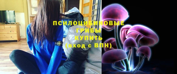 метадон Новодвинск