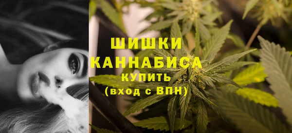 метадон Новодвинск