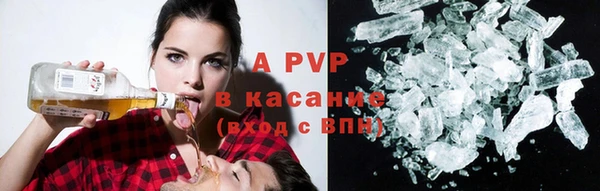 ПСИЛОЦИБИНОВЫЕ ГРИБЫ Новозыбков