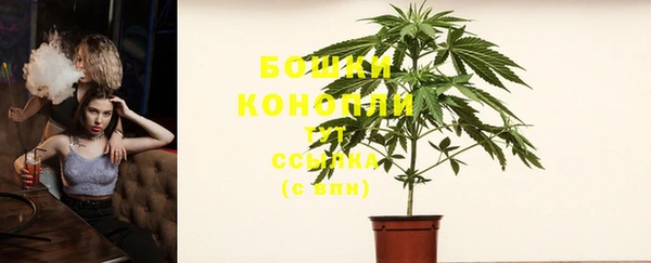 ПСИЛОЦИБИНОВЫЕ ГРИБЫ Новозыбков