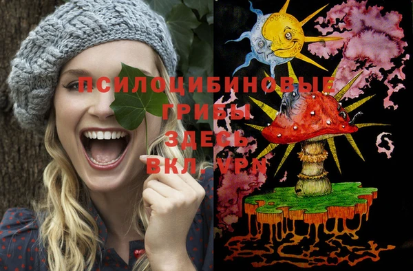 твердый Семикаракорск