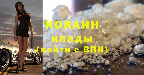 шишки Новокубанск