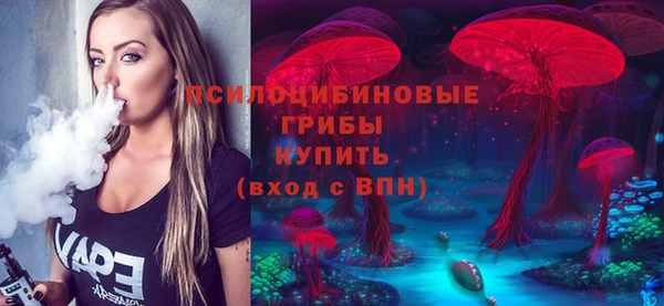 сатива Тутаев