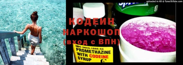 ПСИЛОЦИБИНОВЫЕ ГРИБЫ Новозыбков