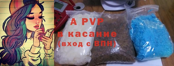ПСИЛОЦИБИНОВЫЕ ГРИБЫ Новозыбков
