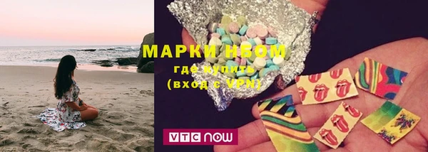 ПСИЛОЦИБИНОВЫЕ ГРИБЫ Новозыбков