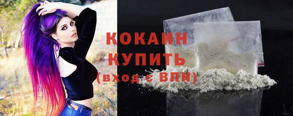 шишки Новокубанск